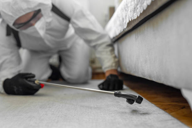 Professional Bed Bug Control technician working in Benton County County, TN